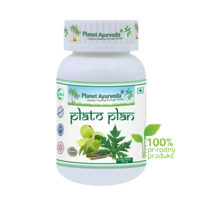 Plato Plan