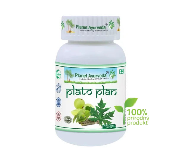 Plato Plan