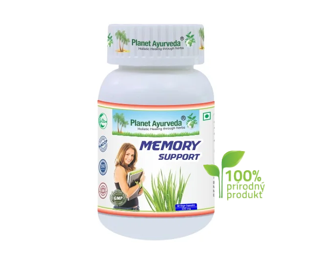 memory support