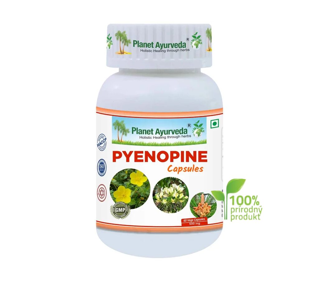 kapsuly pyenopine